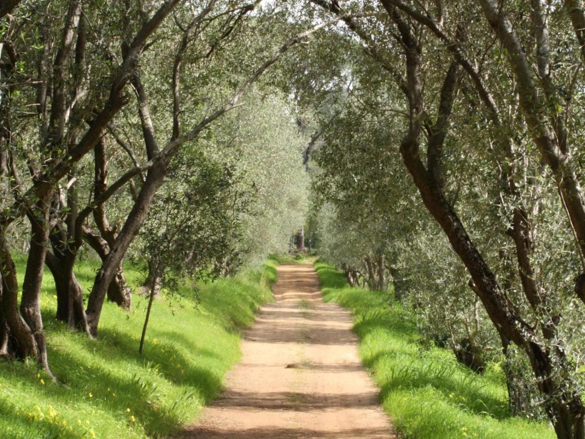 Retreat At Waterfall Valley Paarl Exterior photo