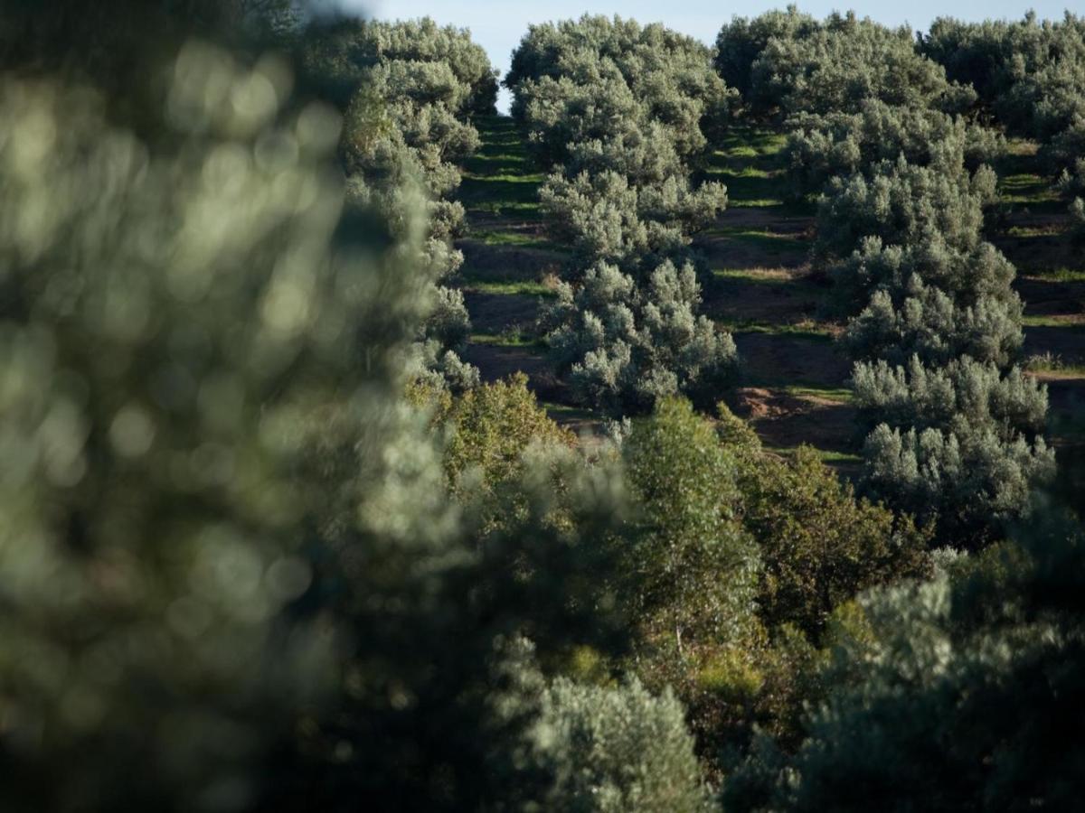 Retreat At Waterfall Valley Paarl Exterior photo